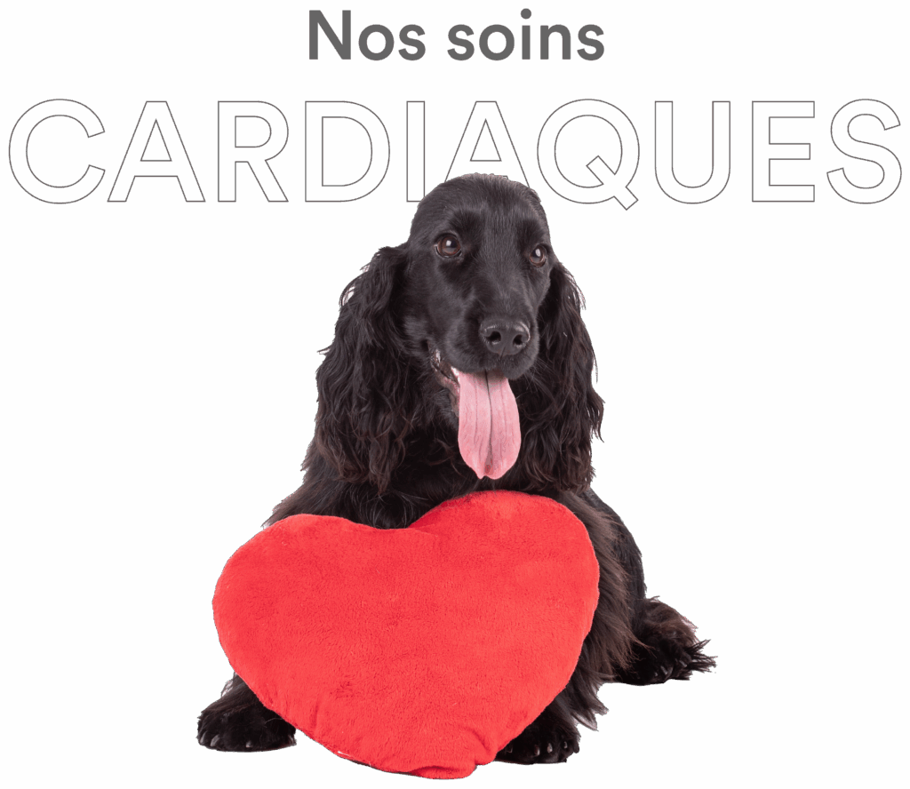 nos soins cardiaques